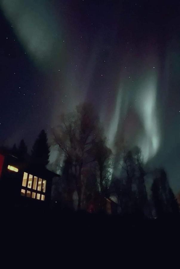 Cosy Cabin In North-Norway, Nearby Senja. Sorreisa Exterior foto